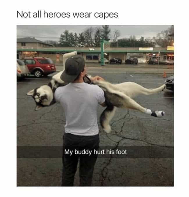 24 photos that prove not all heroes wear capes hhhuu photo u1?w=650&q=50&fm=jpg&fit=crop&crop=faces 24 photos that prove not all heroes wear capes